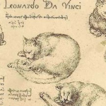 Da Vinci Cats Italian Print Paper ~ Kartos Italy